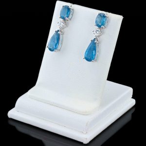 Orianne Designer Earrings