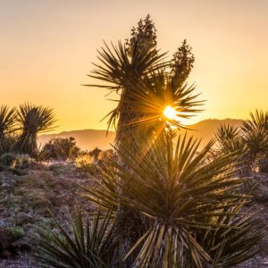 1/5-ACRE LOT- Mohave County, Arizona
