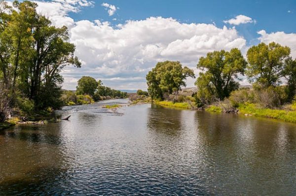 1/4 Acre Rio Grande River Ranches Colorado