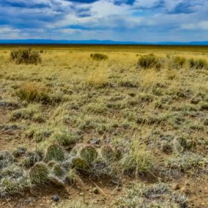 1/4 acre Lot in Antonito, Near Rio Grande River
