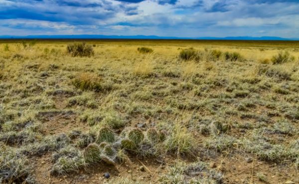 1/4 acre Lot in Antonito, Near Rio Grande River