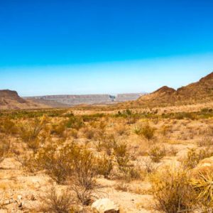 10 ACRES TEXAS