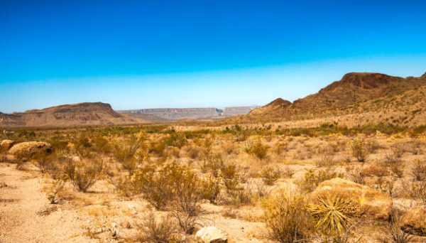 10 ACRES TEXAS