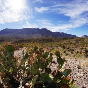 Huge 10.189 Acre Lot - TEXAS