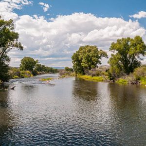 ACRE LOT NEAR RIO GRANDE RIVER