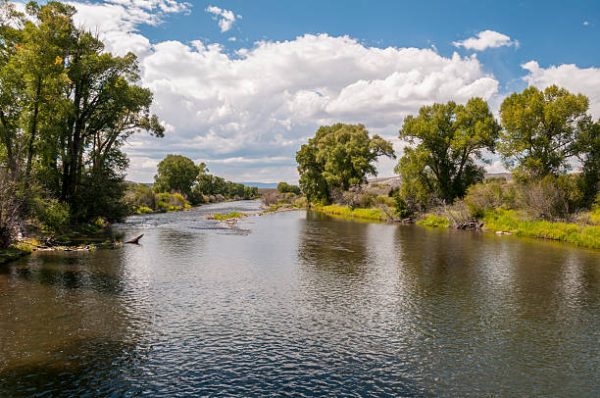 ACRE LOT NEAR RIO GRANDE RIVER