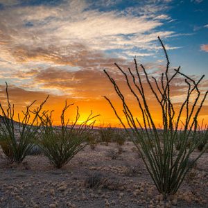 10+ ACRES WEST TEXAS