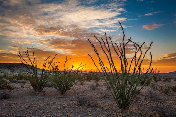 10+ ACRES WEST TEXAS