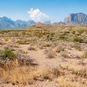 10+ Big Bend Ranch State Park, TX