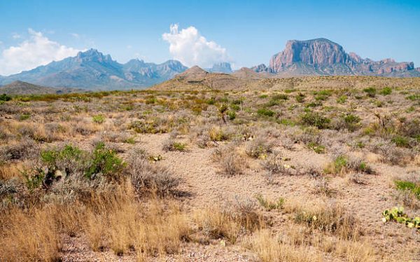 10+ Big Bend Ranch State Park, TX