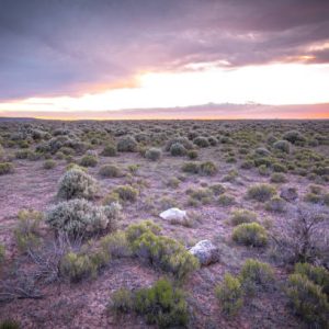 1/4 Acre New Mexico