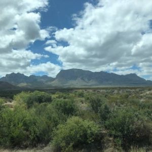 1/4 Acre Near Taos New Mexico