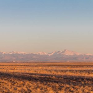 Lot 451 Unit 7 Colorado City
