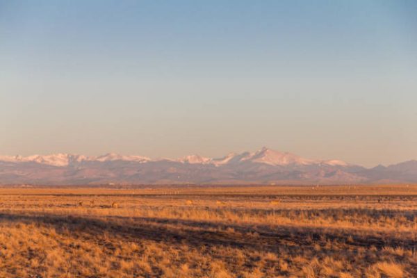 Lot 451 Unit 7 Colorado City