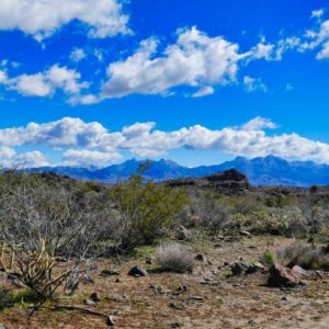 1/5 Acre Near Kingman Arizona -GOLF