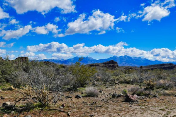 1/5 Acre Near Kingman Arizona -GOLF