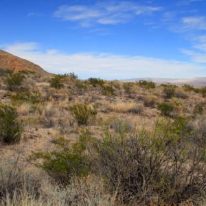 10 ACRES JEFF DAVIS COUNTY TEXAS   $ 2,100