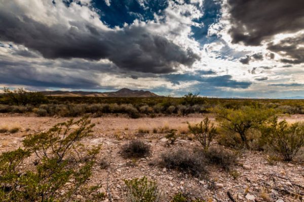 10 Acres West Texas 