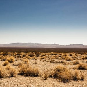 10 Acres West Texas