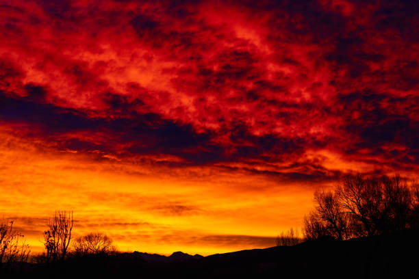 B12-5 Acres Colorado