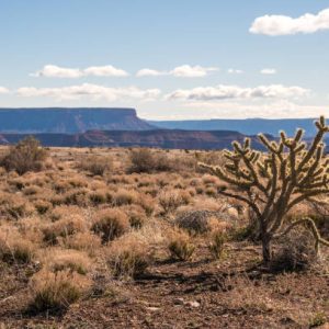 L2-1/5 Acres Kingman AZ