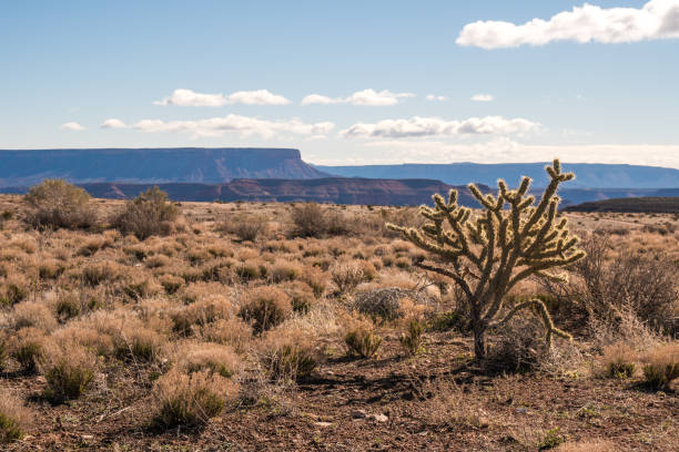 L2-1/5 Acres Kingman AZ