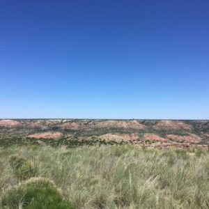10 ACRES WEST TEXAS