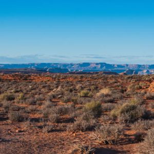 Already Subdivided - 40 Acres TEXAS
