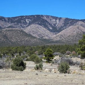 B36-1/4 Acre Taos - New Mexico
