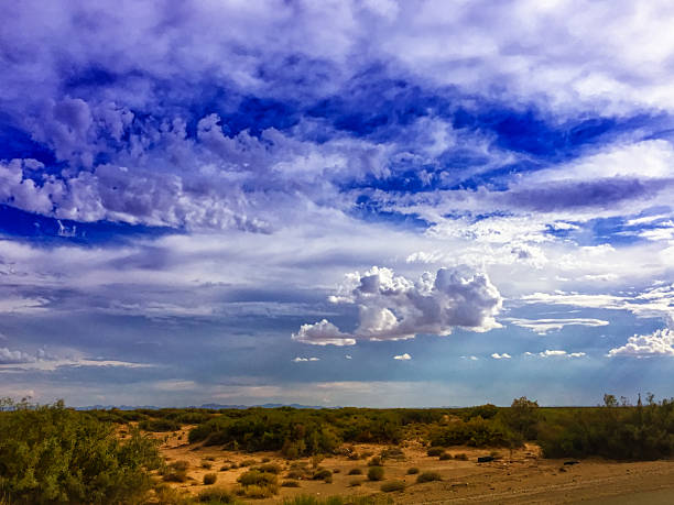 20 Acres Near El Paso Texas