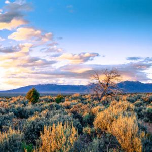 1/4 Acre in Taos, New Mexico