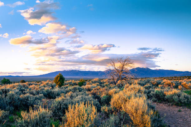 1/4 Acre in Taos, New Mexico