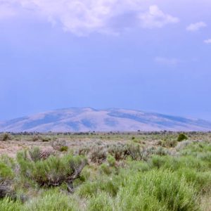 AMAZING-20 Acres in West Texas