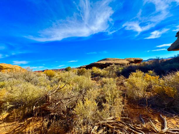 1 Acre Garden Valley Ranchos, Utah