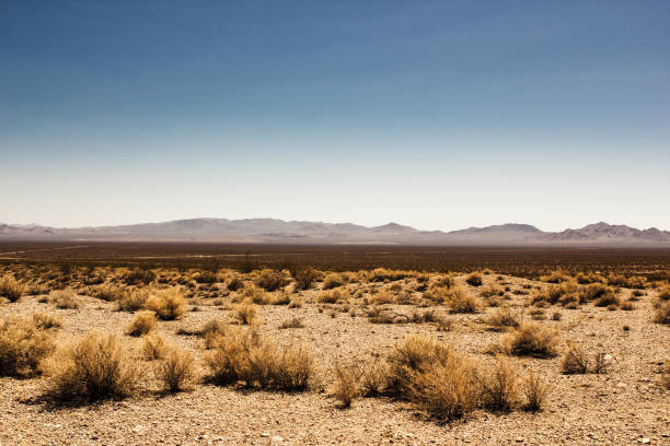 10 Acres West Texas
